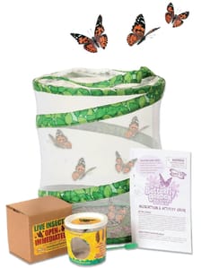 Live Butterfly Garden Kit
