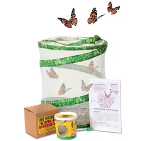 Live Butterfly Garden Kit image 1
