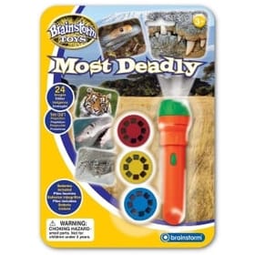 Most Deadly Torch image 1