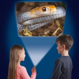 Most Deadly Torch image 2
