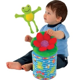 Frog In A Box image 1
