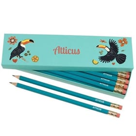 Box of 12 Named HB Pencils - Toucans image 1