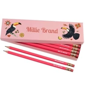 Box of 12 Named HB Pencils - Toucans image 2