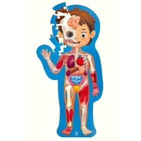Human Body Puzzle image 2