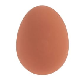 Bouncy Egg image