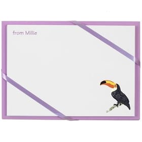 Named Cards - Toucans image