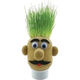 Mr Grasshead image 2