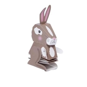 Bouncing Bunny image 2