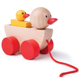 Duck & Duckling Pull-Along image 1