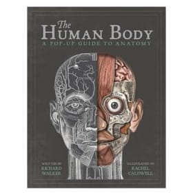 Human Body Pop Up Book image 5