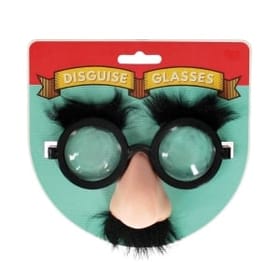 Disguise Glasses image
