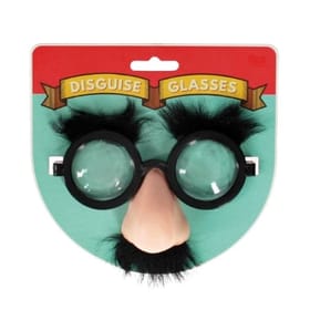 Disguise Glasses image