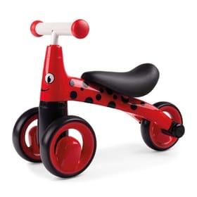 Diditrike - Ladybird image 1