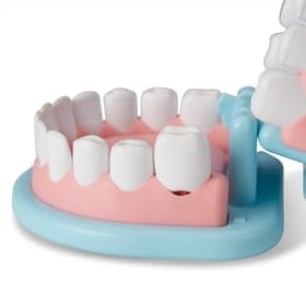 Dentist Play Set image 2