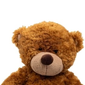 Bonnie Brown Bear image 1