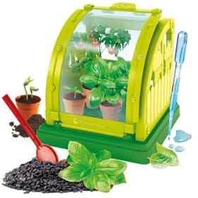 Mini Greenhouse