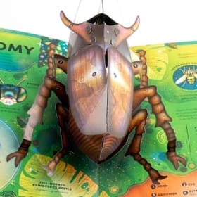 The Incredible Pop-Up Bug Book