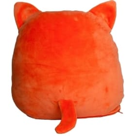 Personalised Squidgy Ginger Cat Back
