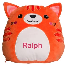 Personalised Squidgy Ginger Cat