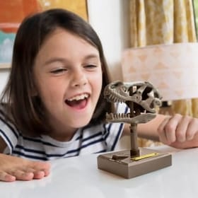 Roaring T-Rex Skull image 1