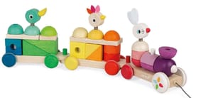 Giant Multicolour Train