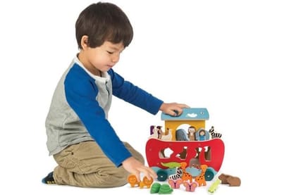 Noah's Shape Sorter Ark