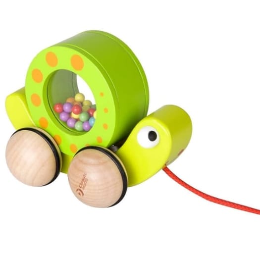 Rolling Snail