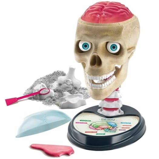 Crazy Anatomy