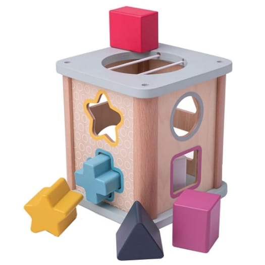Shape Sorter - FSC