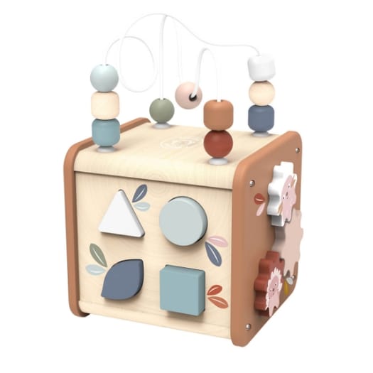 5 in 1 Activity Cube