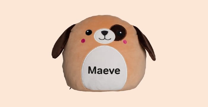 Personalised Squidgy Brown Dog