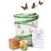Live Butterfly Garden Kit image 1