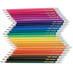24 Named Erasable Colouring Pencils image