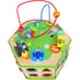Safari Activity Cube image 4