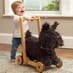 Scottie Dog Push Along image 2
