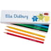 Box of 12 Named Colouring Pencils - Little Monsters image 1