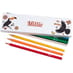 Box of 12 Named Colouring Pencils - Toucans image 1