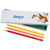 Box of 12 Named Colouring Pencils - Ponies image 1