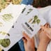Plant a Tree Kit image 3