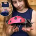 Build Your Own Ladybird Kit image 6