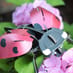 Build Your Own Ladybird Kit image 7