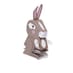 Bouncing Bunny image 2