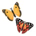 Fluttering Butterflies image 2