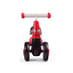 Diditrike - Ladybird image 4