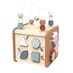5 in 1 Activity Cube