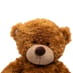 Bonnie Brown Bear image 1
