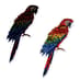 Scratch Stickers - Birds Before and After Parrots
