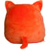 Personalised Squidgy Ginger Cat Back