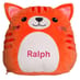 Personalised Squidgy Ginger Cat